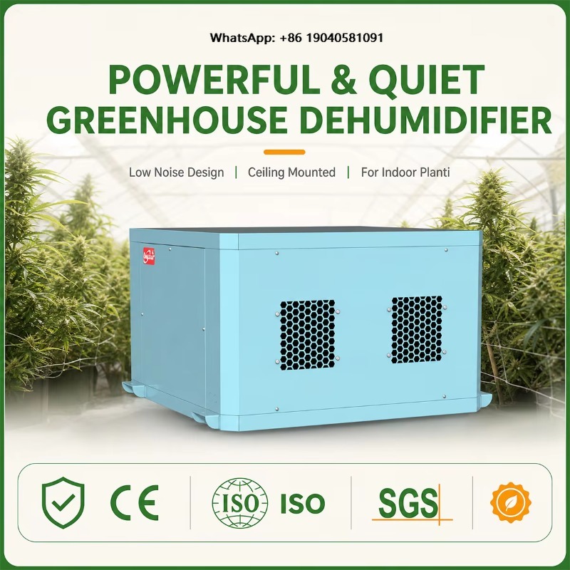 Indoor Plants - Déshumidificateur de serre puissant, modèle à