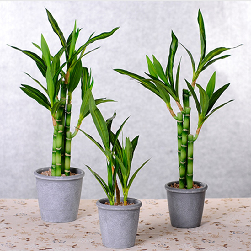 Nouvelle plante artificielle B - Snake Plant avis et prix