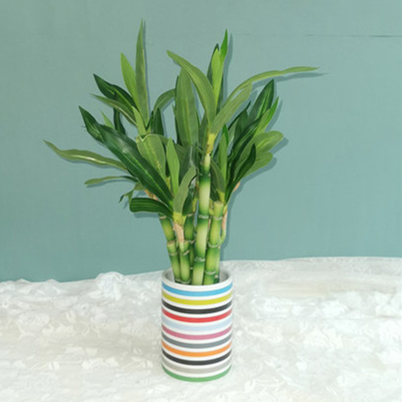 Nouvelle plante artificielle B - Snake Plant avis et prix