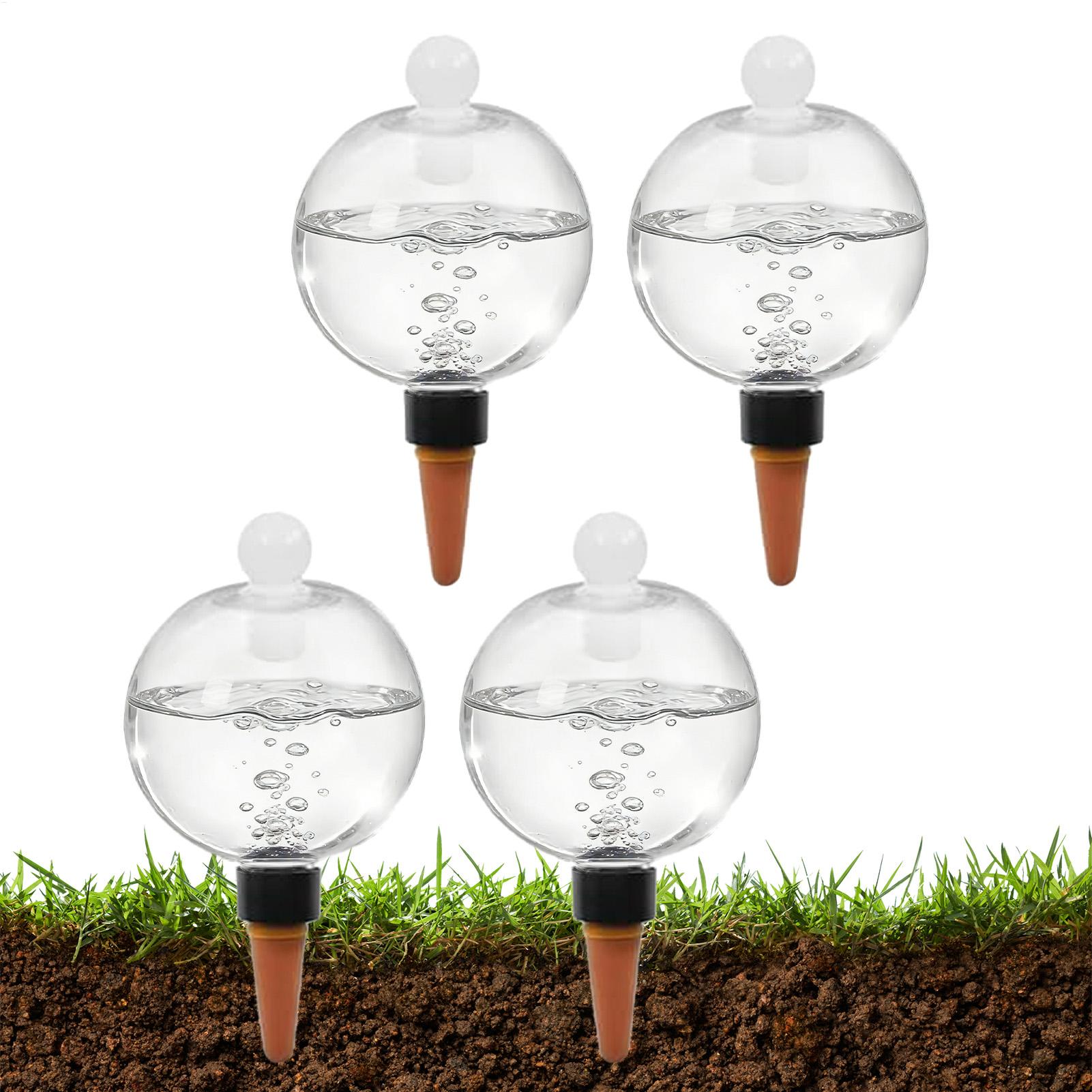 Bulbes d'arrosage automatiques - Succulent Set avis et prix