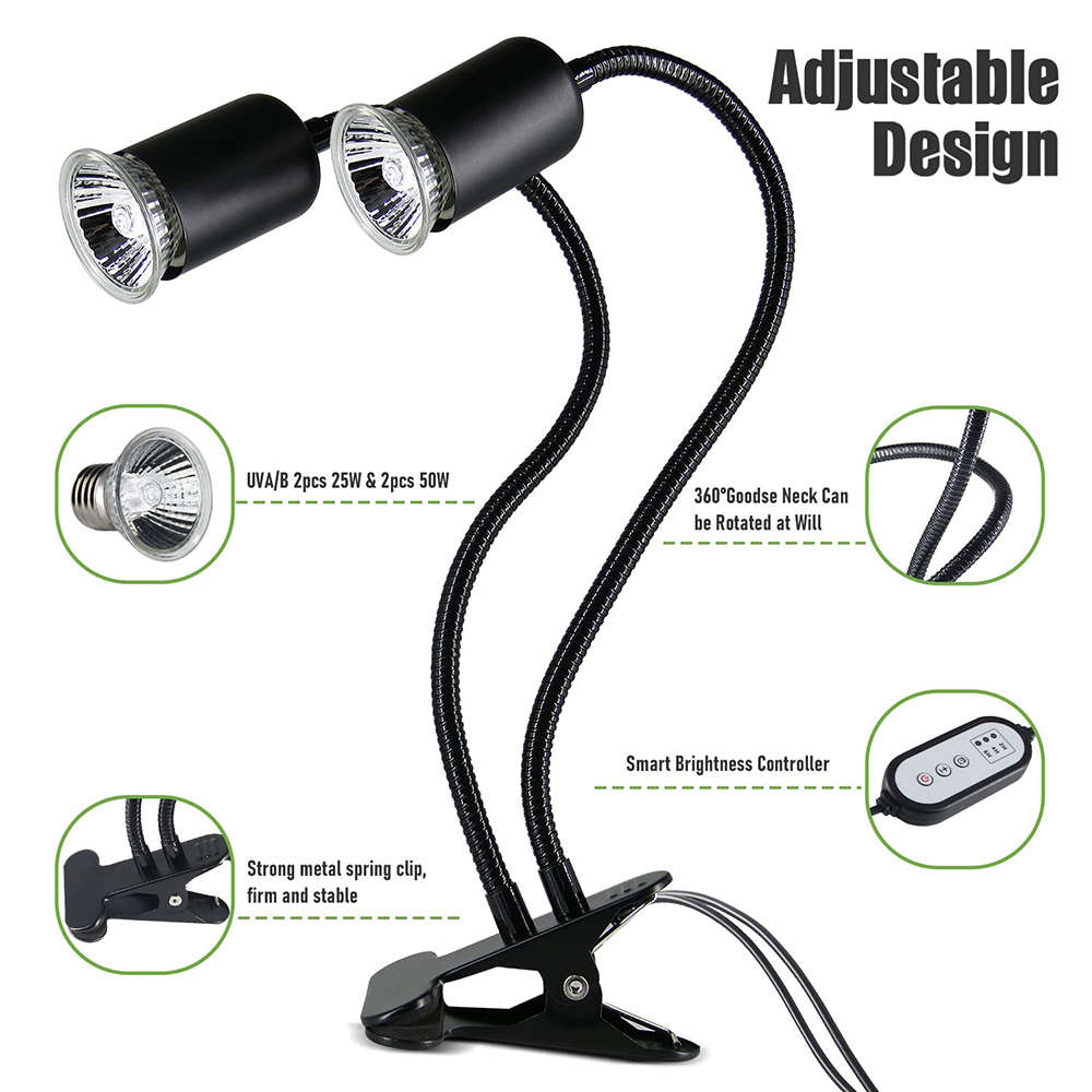 Lampe chauffante pour reptile  - Snake Plant avis et prix