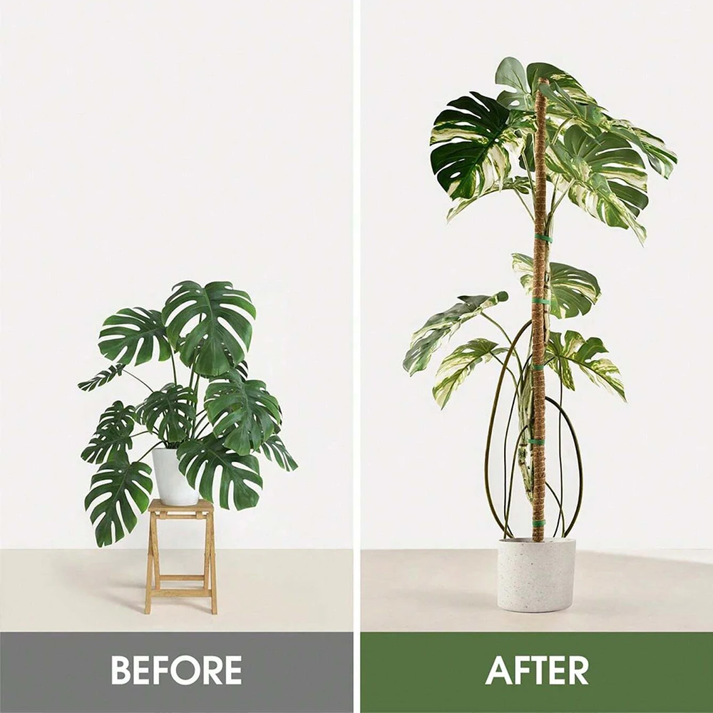 Piquets de support pour plante - Plant Support Stake avis et prix