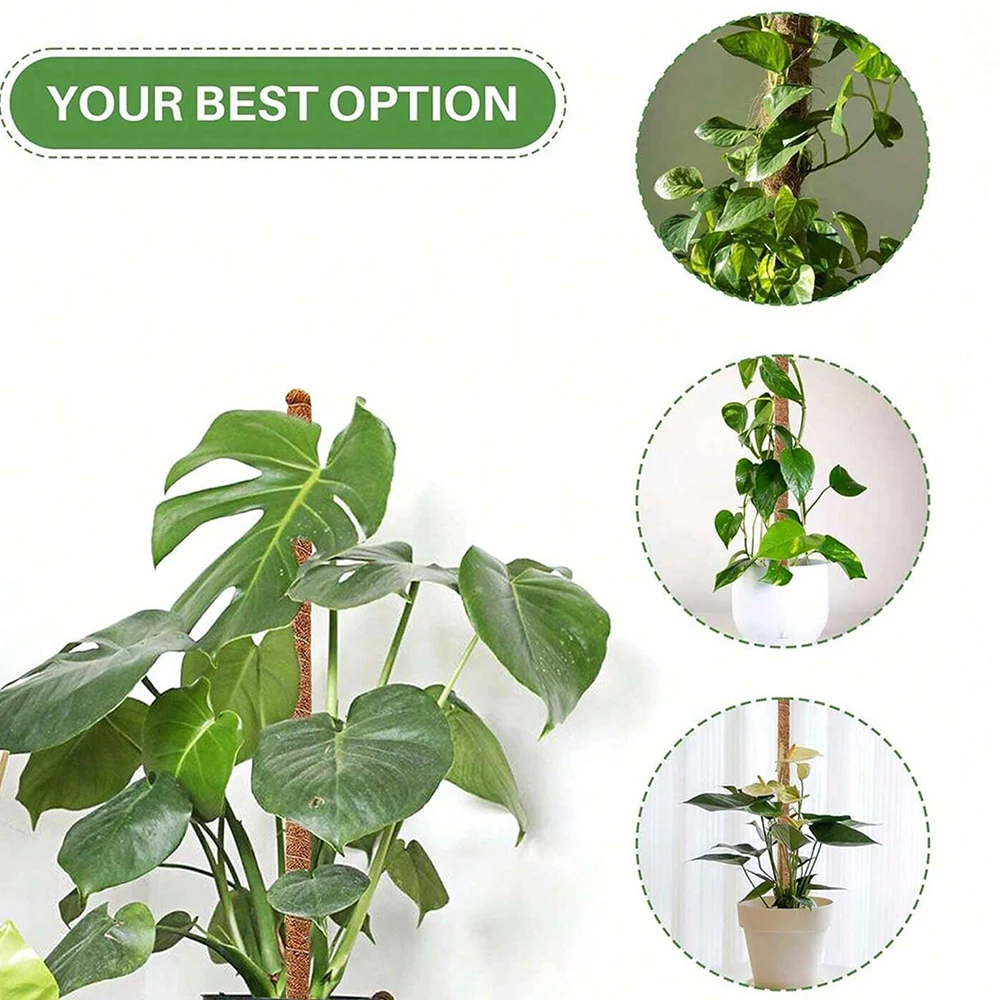 Piquets de support pour plante - Plant Support Stake avis et prix
