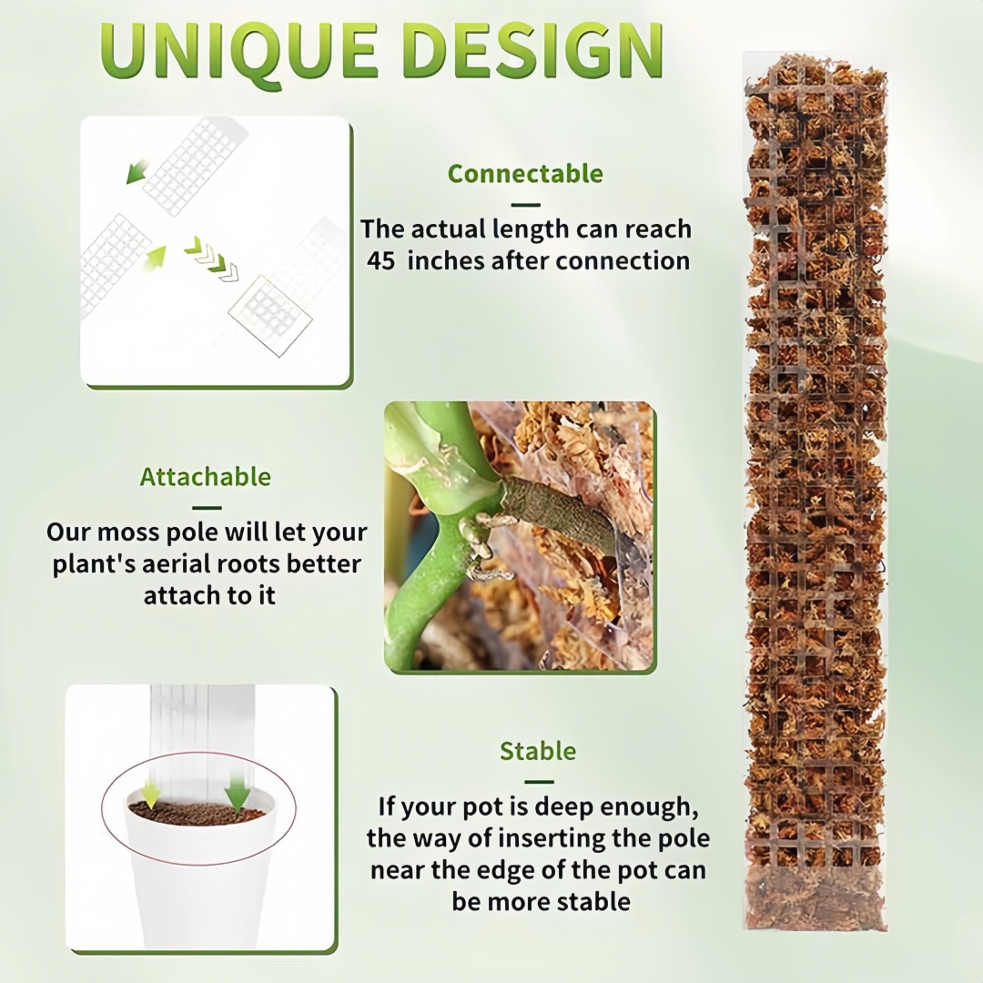 Support de plantes en plastiqu - Plant Support Stake avis et prix