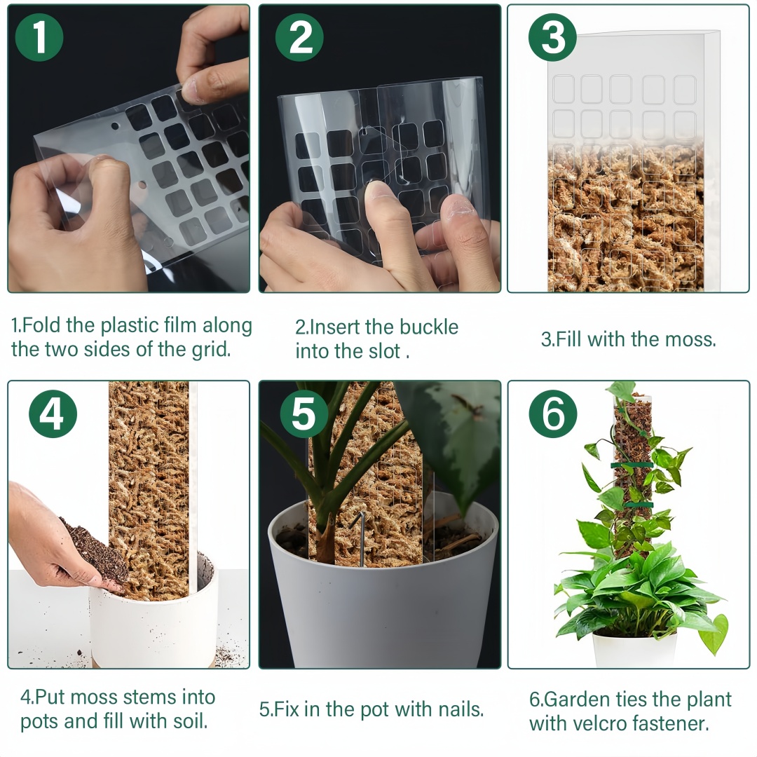 Support de plantes en plastiqu - Plant Support Stake avis et prix