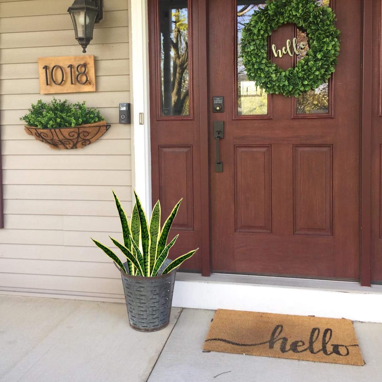 Faux serpent artificiel, plant - Snake Plant avis et prix