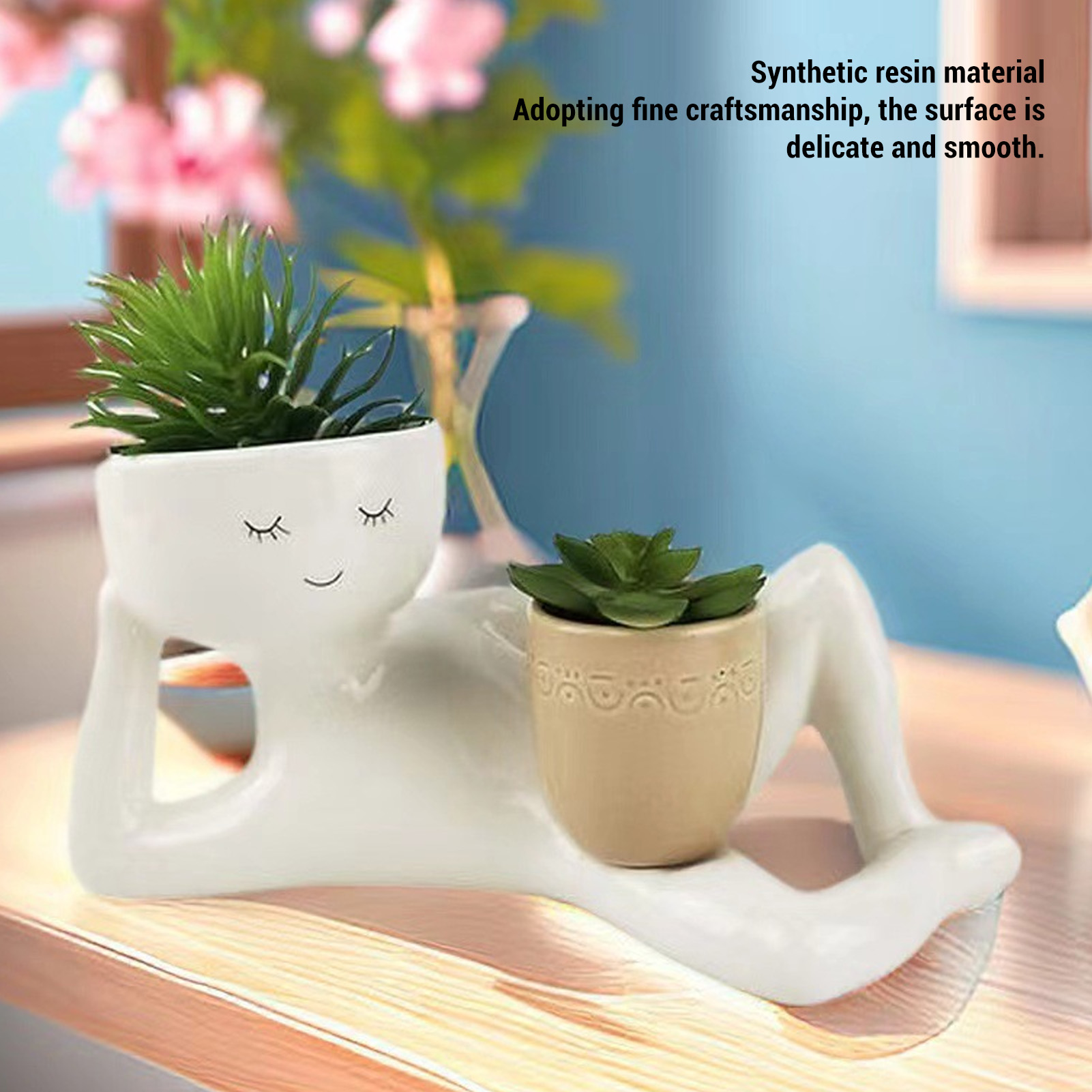 Pot succulent créatif et respi - Succulent Set avis et prix
