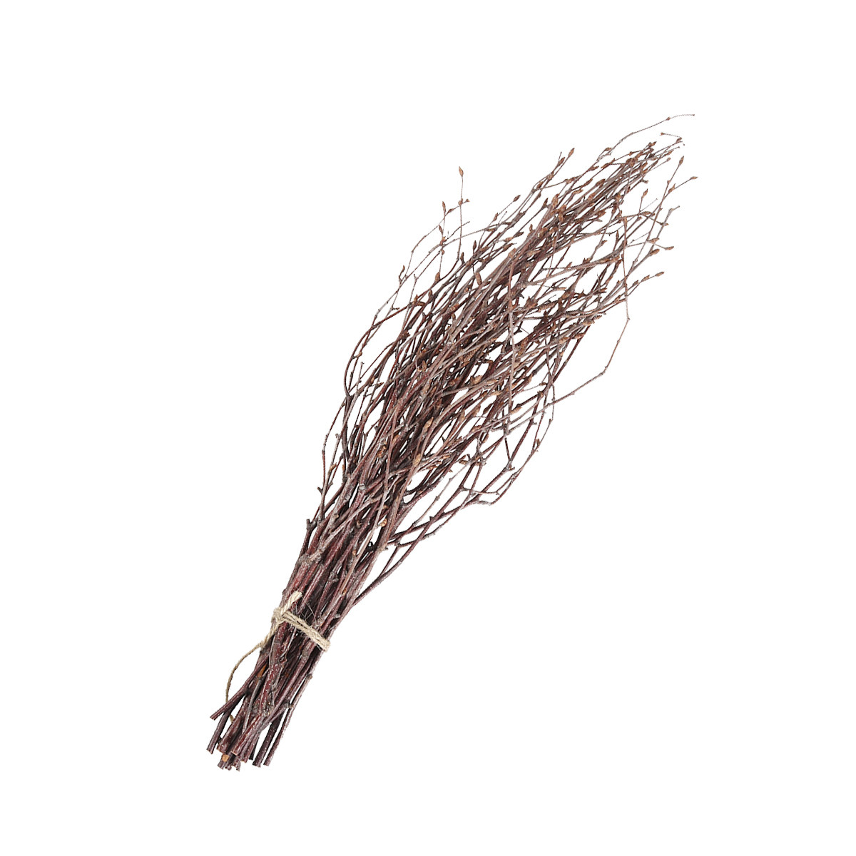 10 Branches de bouleau naturel - Snake Plant avis et prix