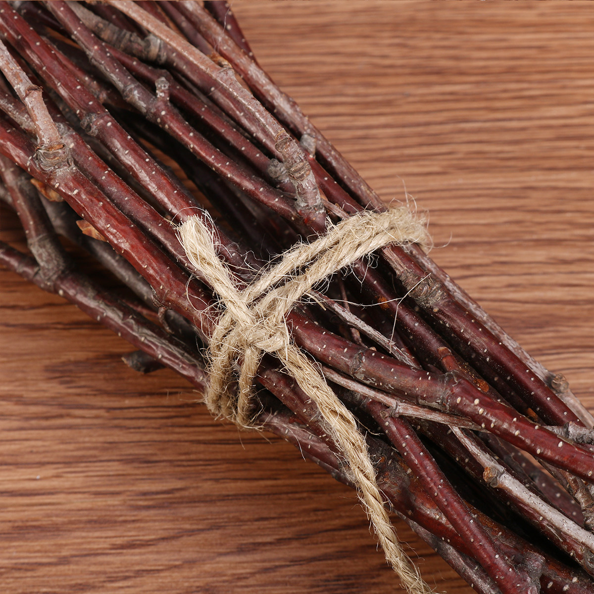 10 Branches de bouleau naturel - Snake Plant avis et prix