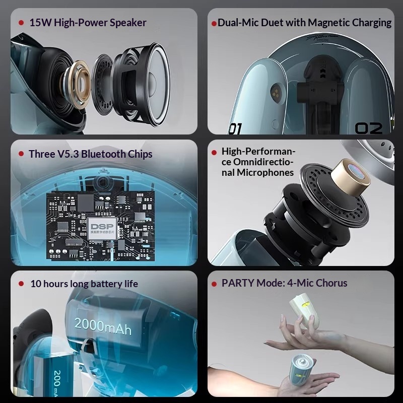 SONGX Audio double Microphone  - Monstera avis et prix