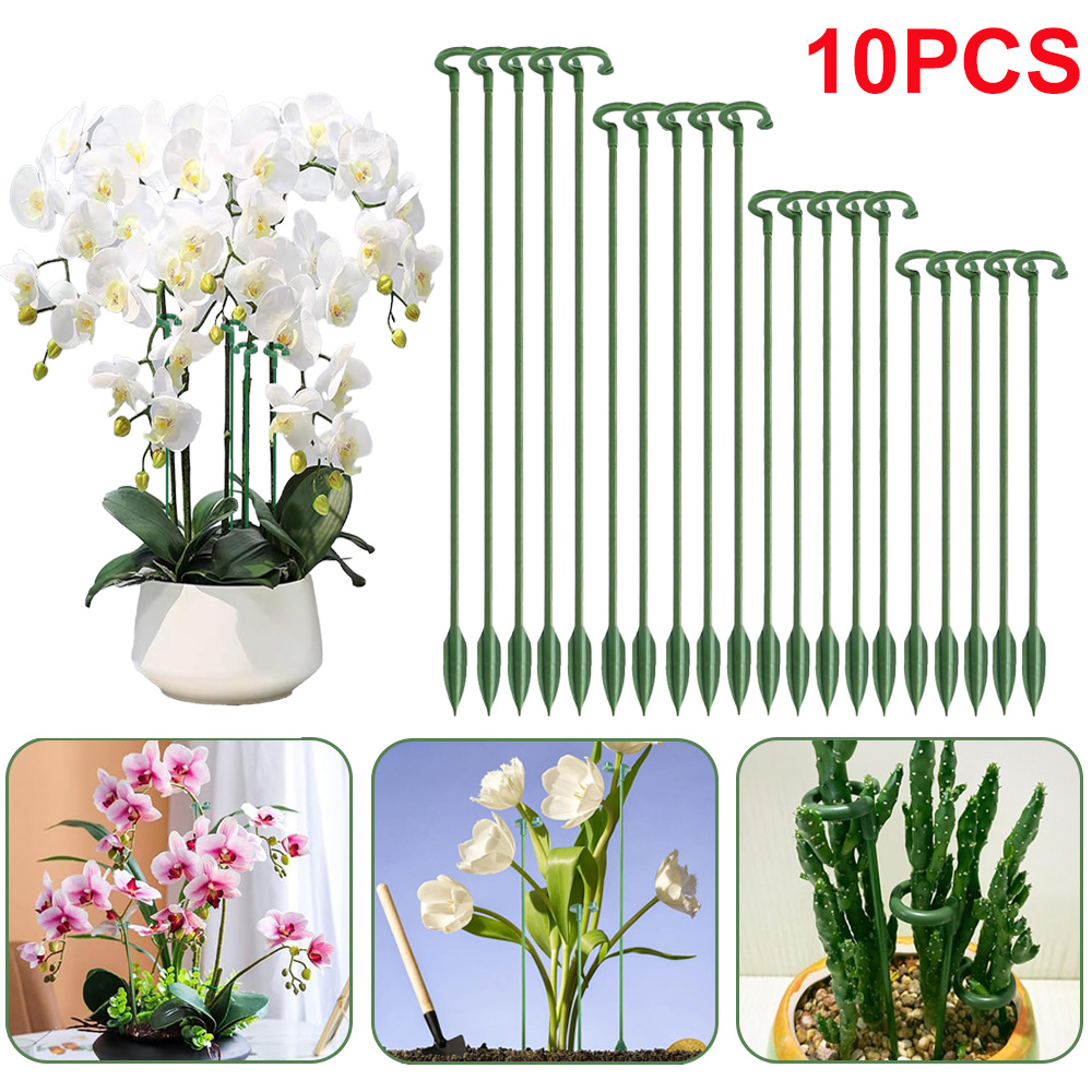 5/10 piquets de support pour p - Succulent Set avis et prix