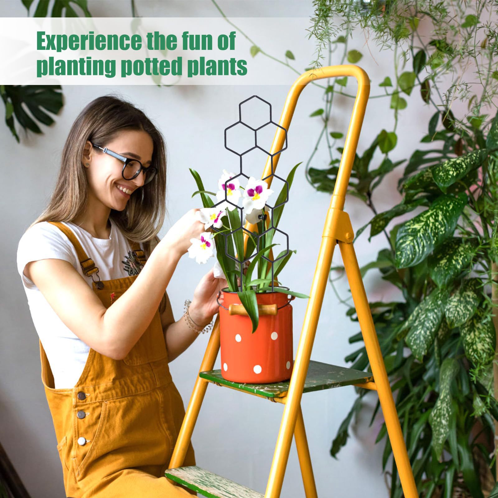 1 treillis pour plantes en for - Pothos avis et prix