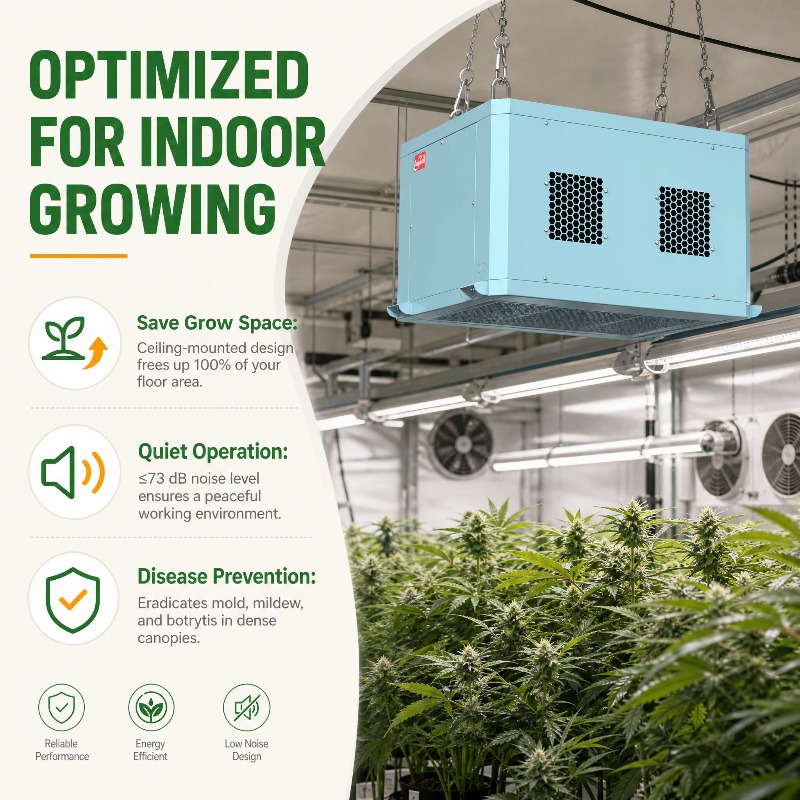 Déshumidificateur de serre pui - Indoor Plants avis et prix