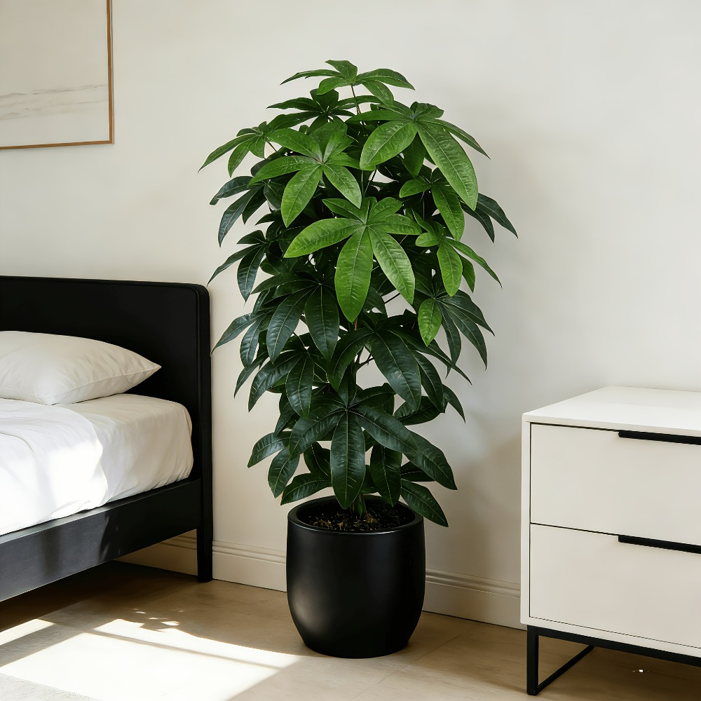 Un arbre à monnaie artificiel  - Snake Plant avis et prix
